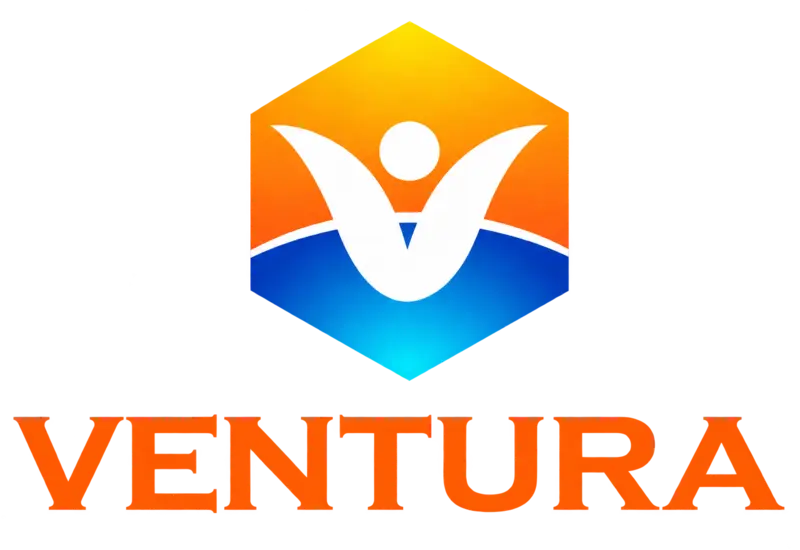 VenturaCFO logo
